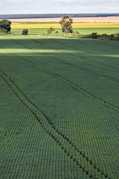 Senado aprova Profert para impulsionar produção nacional de fertilizantes