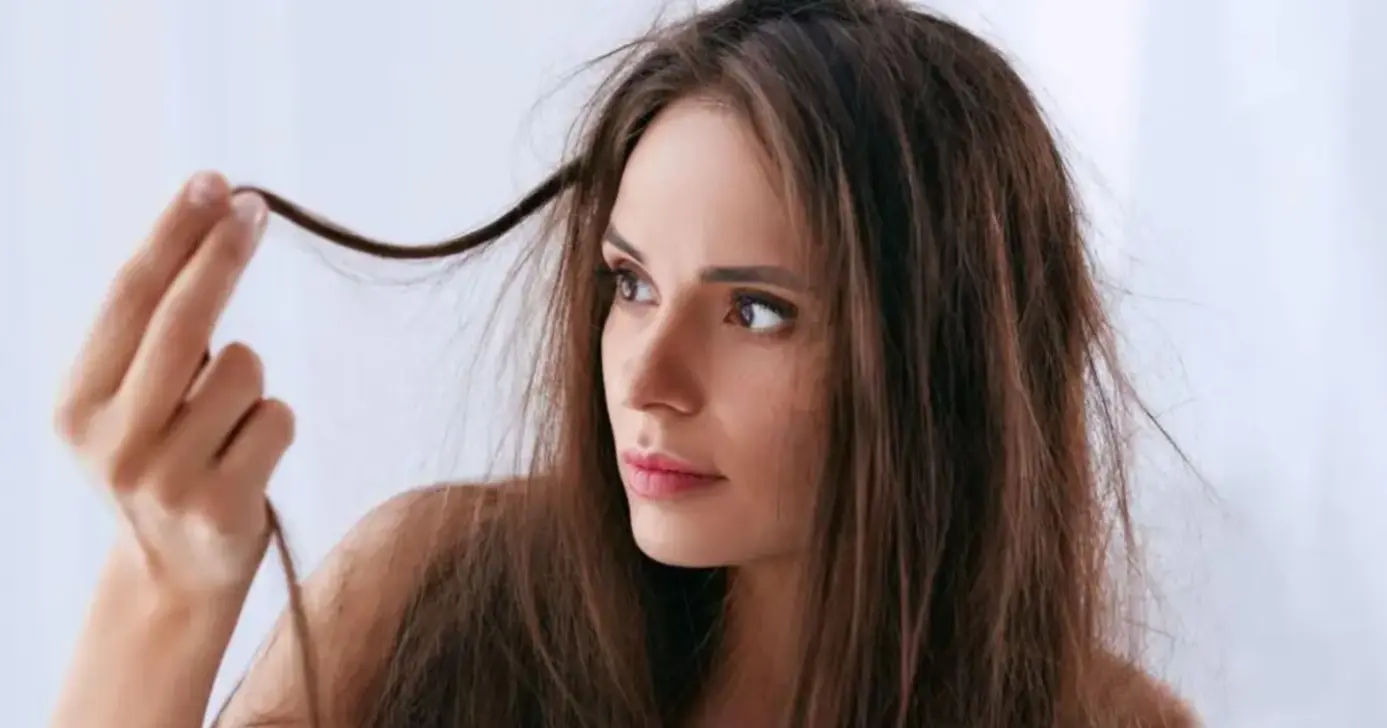 Cabelos sem frizz: 4 óleos naturais que ajudam a alinhar os fios e selar as cutículas
